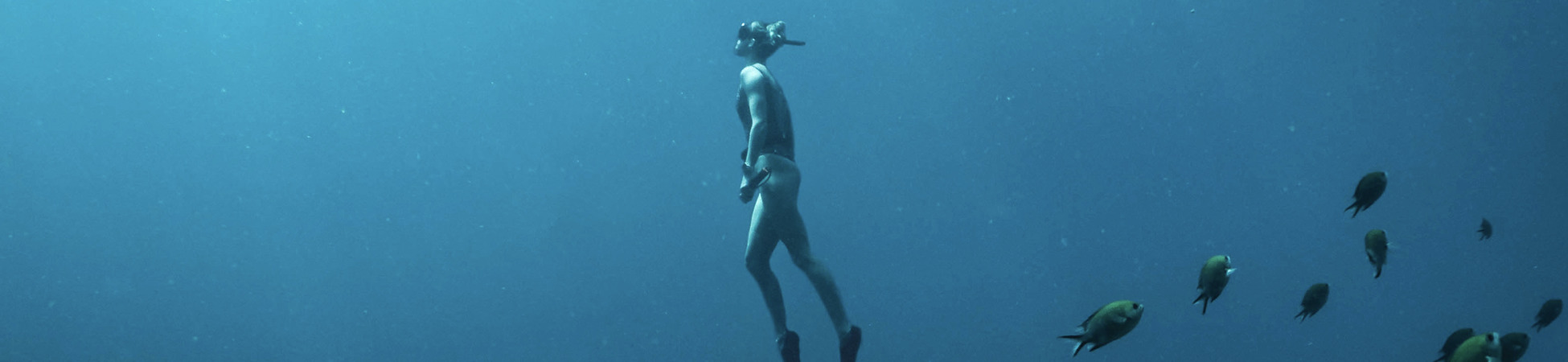 Free Diving